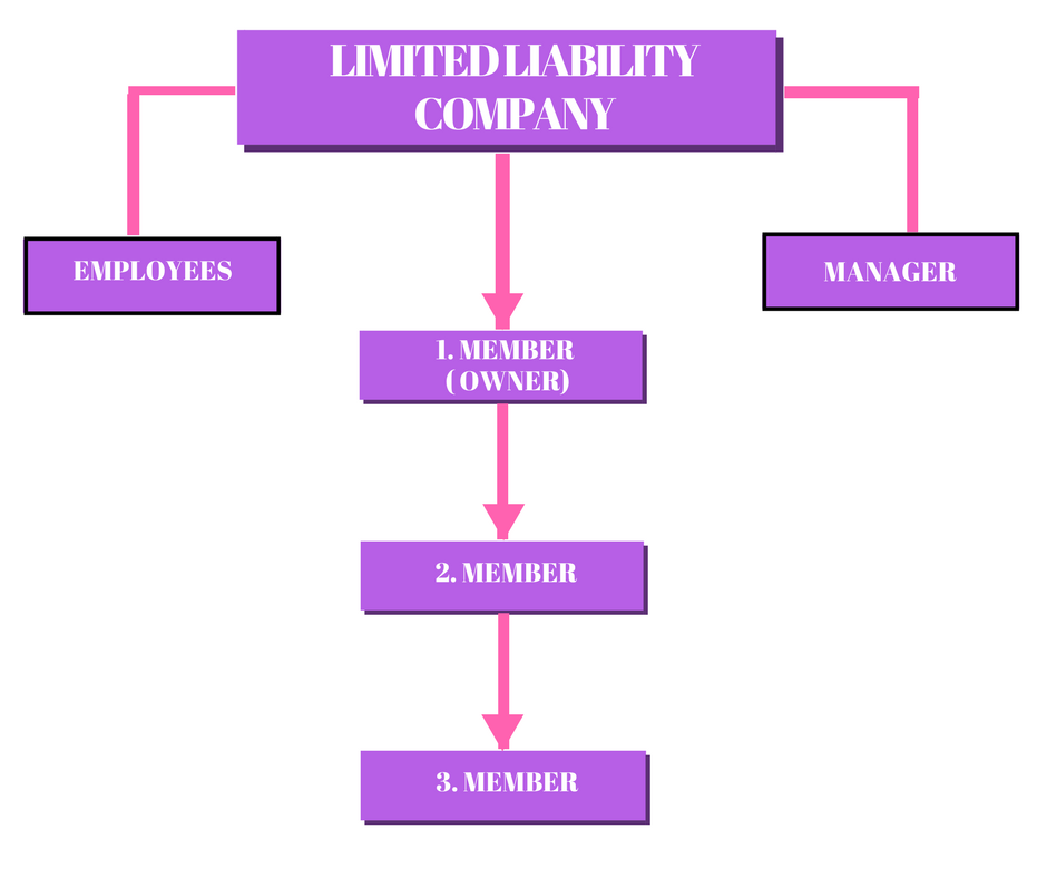 Limited Liability CompanyWhy choose an LLC as your Business Type?