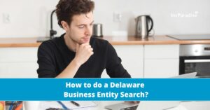 Delaware business entity search guide
