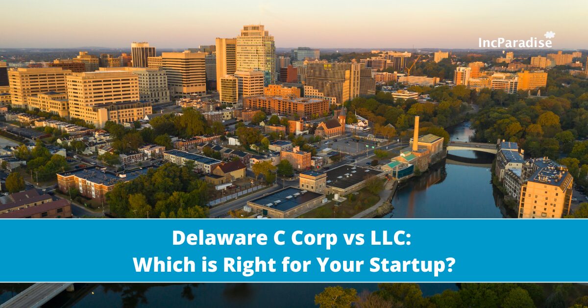 Delaware C Corp vs LLC comparison