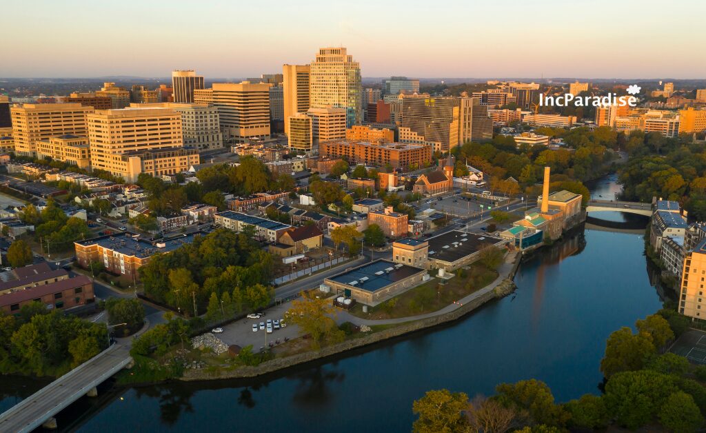 Deciding between a Delaware C Corp or LLC