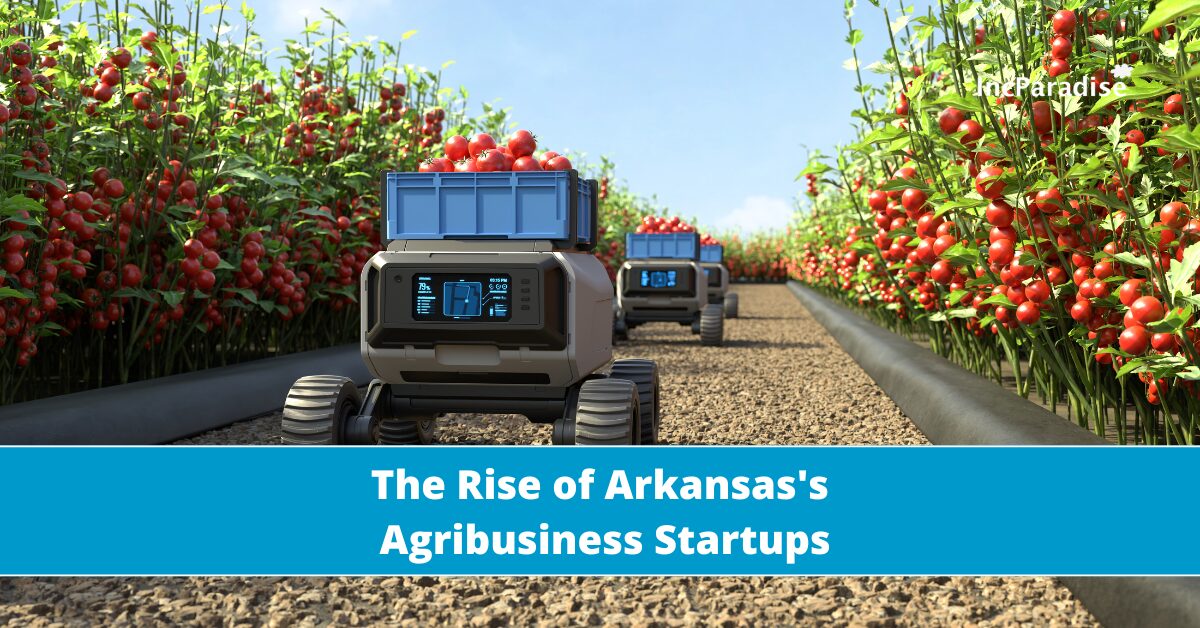 The Rise of Arkansas's Agribusiness Startups